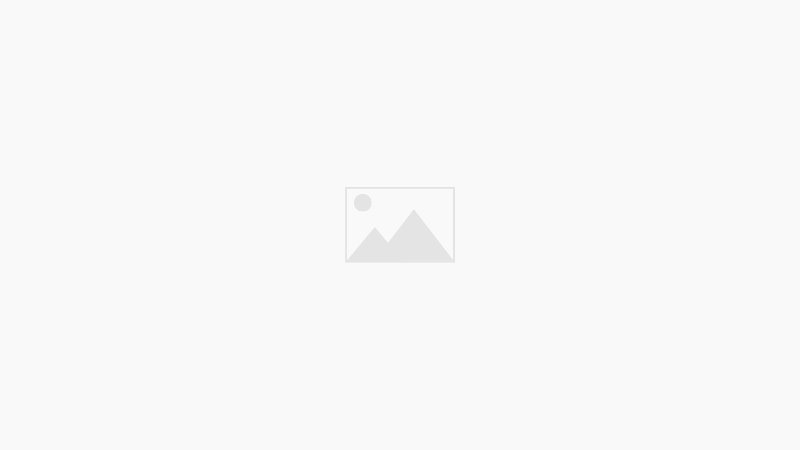 実母との免許返納に至る100日戦争：データと心理戦の裏側